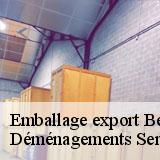 Emballage export  beauvoir-en-lyons-76220 Déménagements Services Aubin