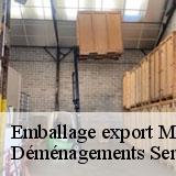 Emballage export