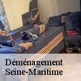 Déménagement
