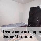 Déménagement appartement