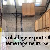 Emballage export